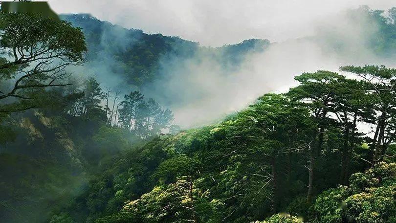 密室逃脱5之惊魂博物馆