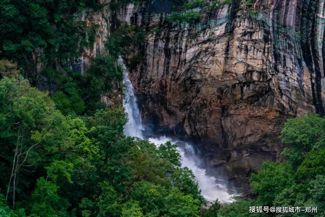 浙江发布全国首个微创技术医疗服务与质量安全报告